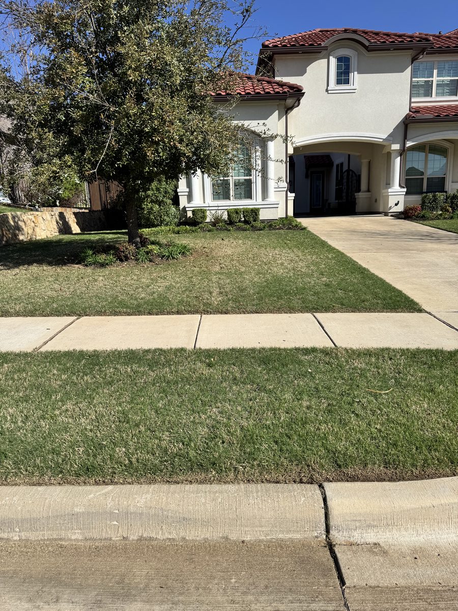 Additional exterior services DFW